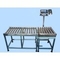 Express Roller Conveyor Scale , Weighing Conveyor With With Thermal Printer