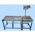 C6 Stainless Steel Roller Conveyor Scale