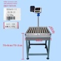 C6 Stainless Steel Roller Conveyor Scale